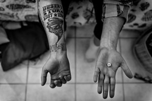 Photo by : Mary F. Calvert 