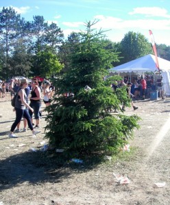 A sad little patch of shade at Rockfest