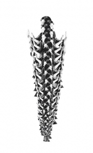 1. Laura Taler Brush Dust Like the Wind no. 1891 (zipper) 2017
