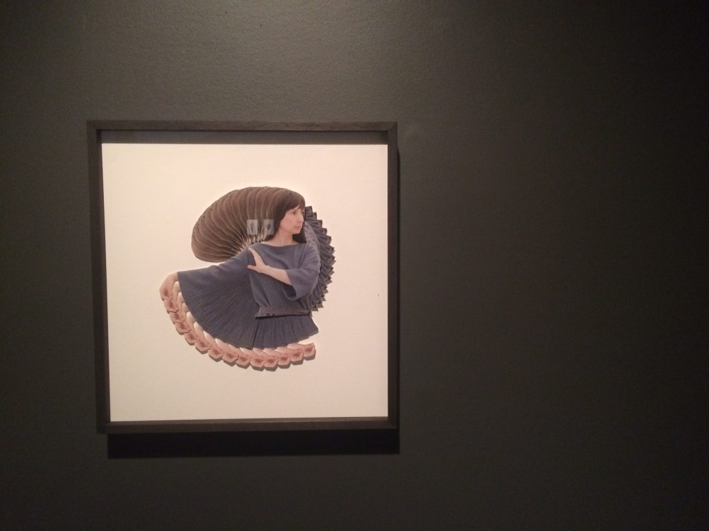 Installation photo of Brush Dust Against the Wind no. 1856 (hand spiral). Photo by Danuta Sierhuis.