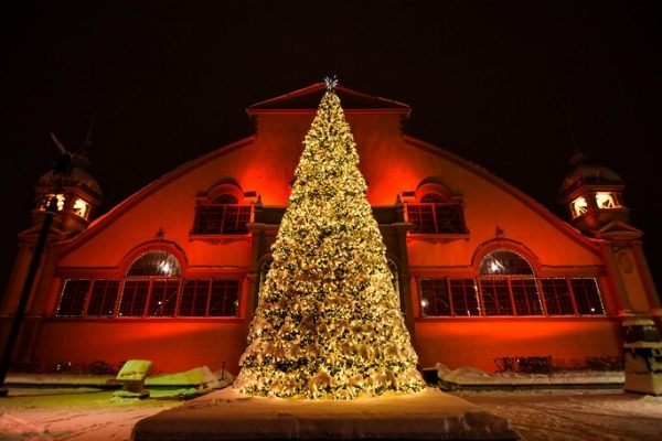 A giant tree stands lit up in front of Lansdowne's Aberdeen Pavilion.